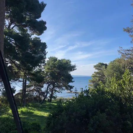 Tinel Split